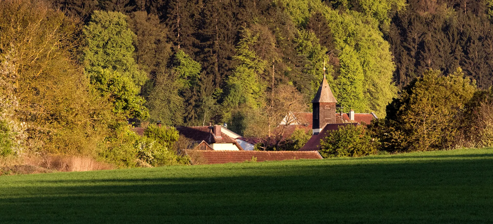Bienen im Schwarm vor den Beuten in Brunn