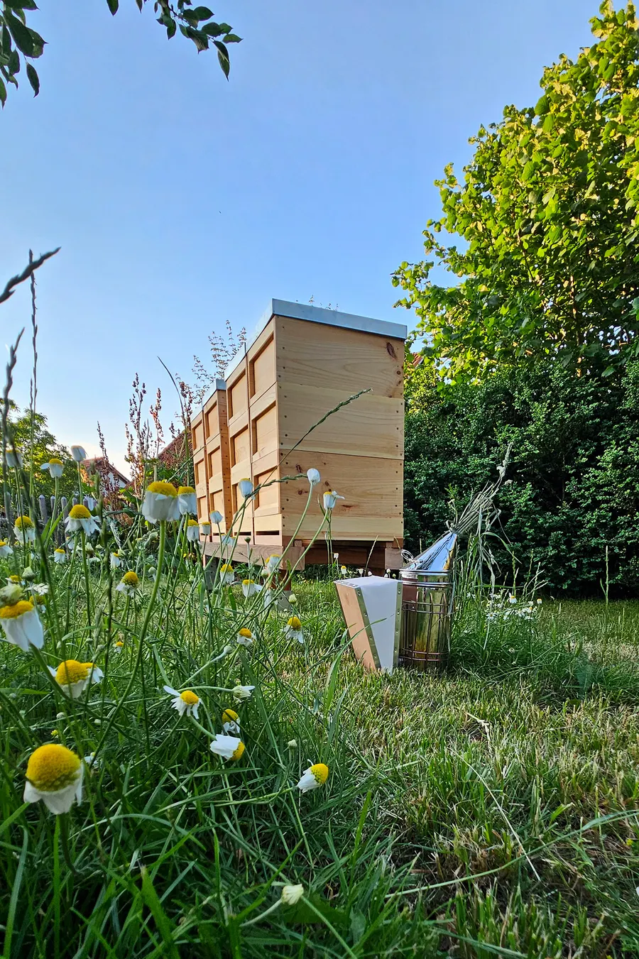 Die Beuten in unserem Garten in Brunn